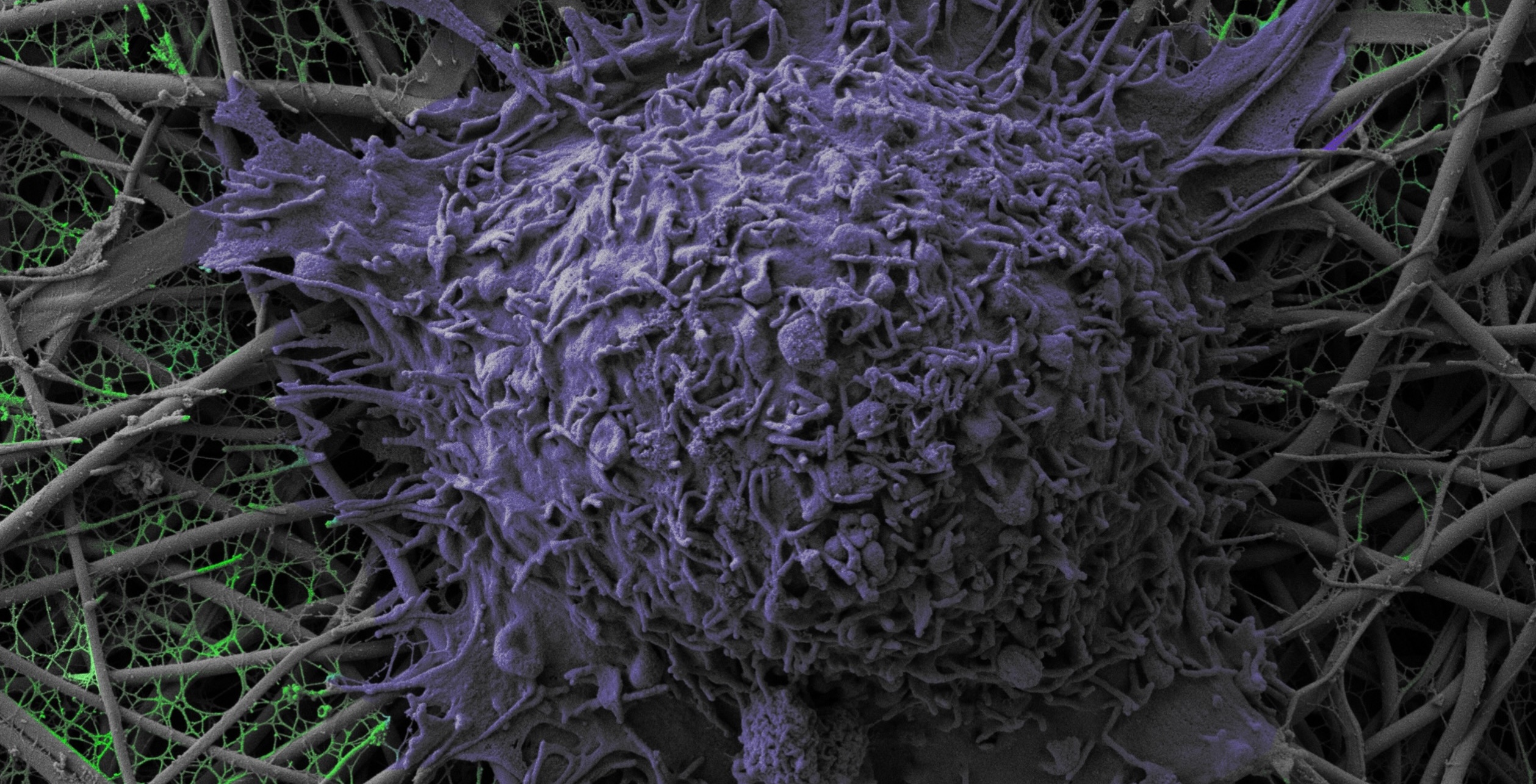 Research Overview