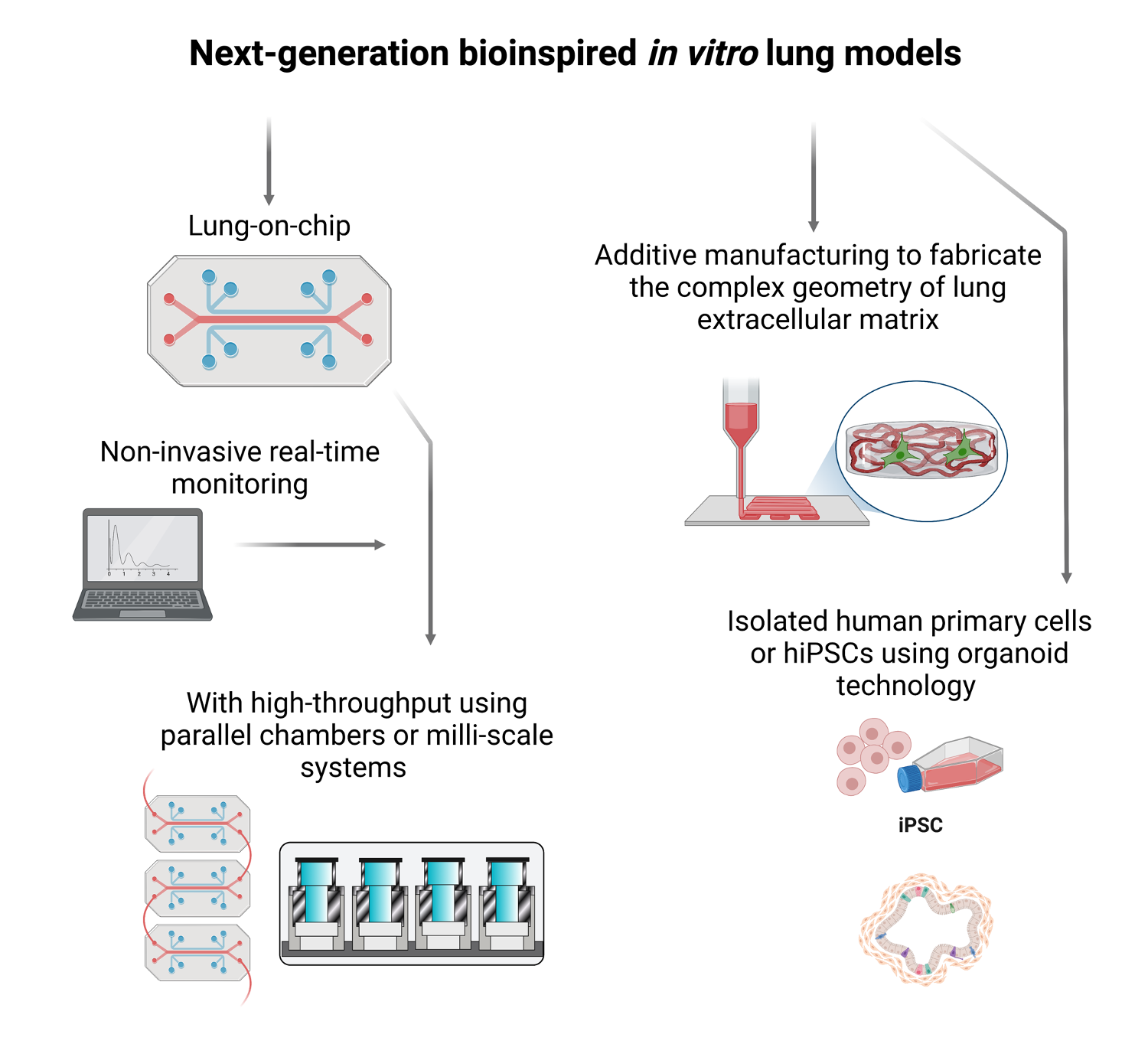 Biomimetic In Vitro Lung Models